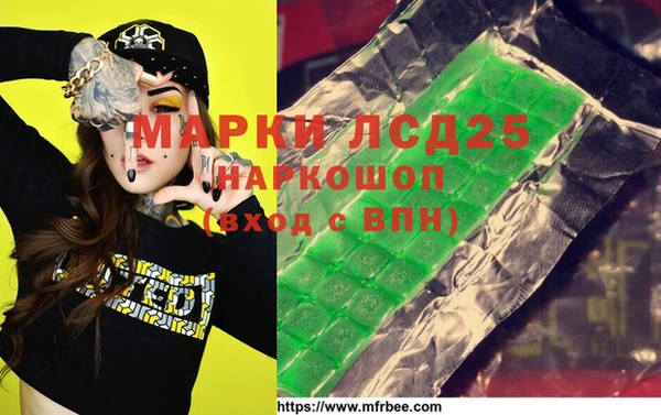индика Алексин