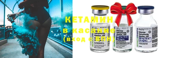 индика Алексин