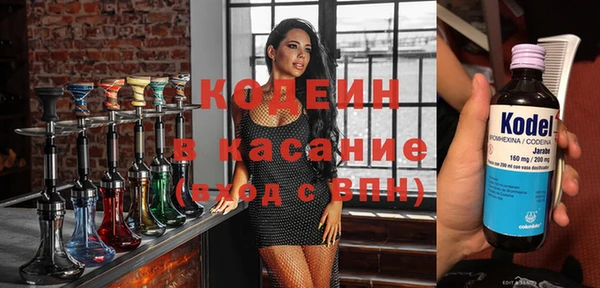 индика Алексин
