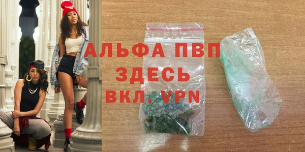 индика Алексин