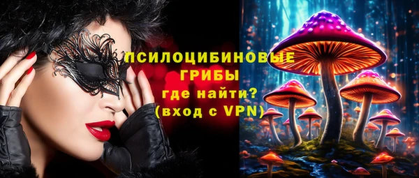 индика Алексин