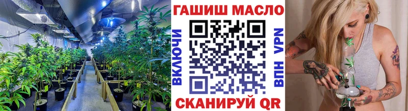мега ссылки Дно ТГК THC oil дарнет шоп