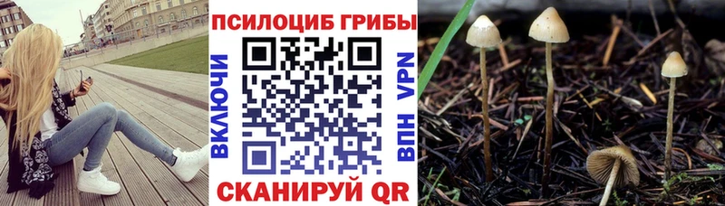 Галлюциногенные грибы мухоморы  Дно 